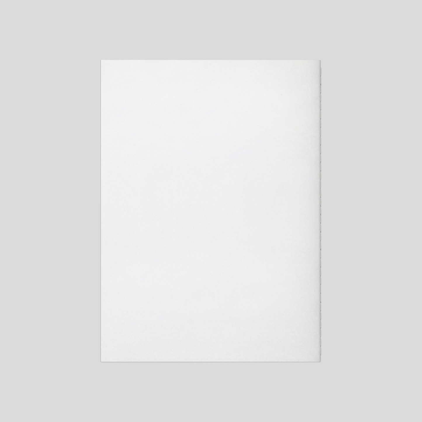 J2NNI5 Mini Photozine