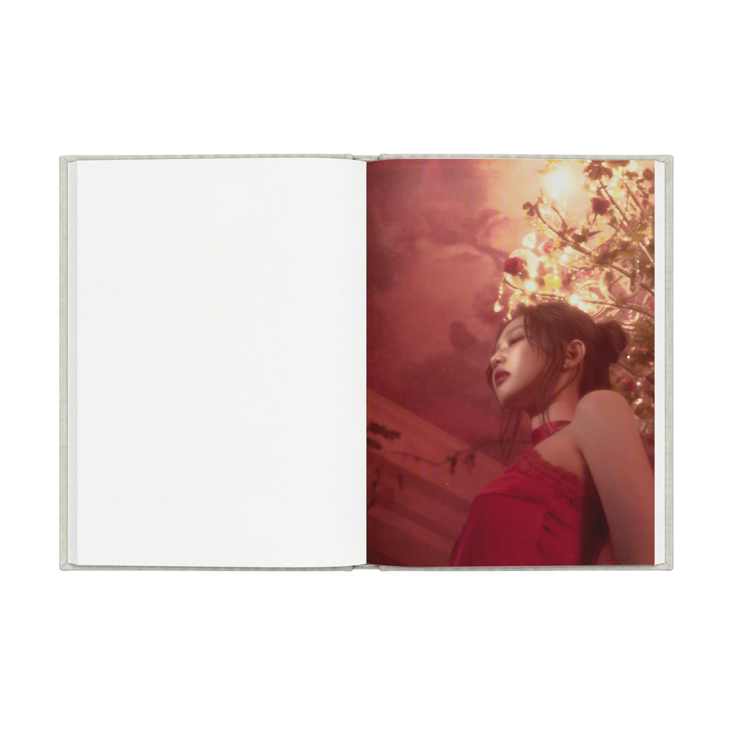 Fallen Angel Notebook