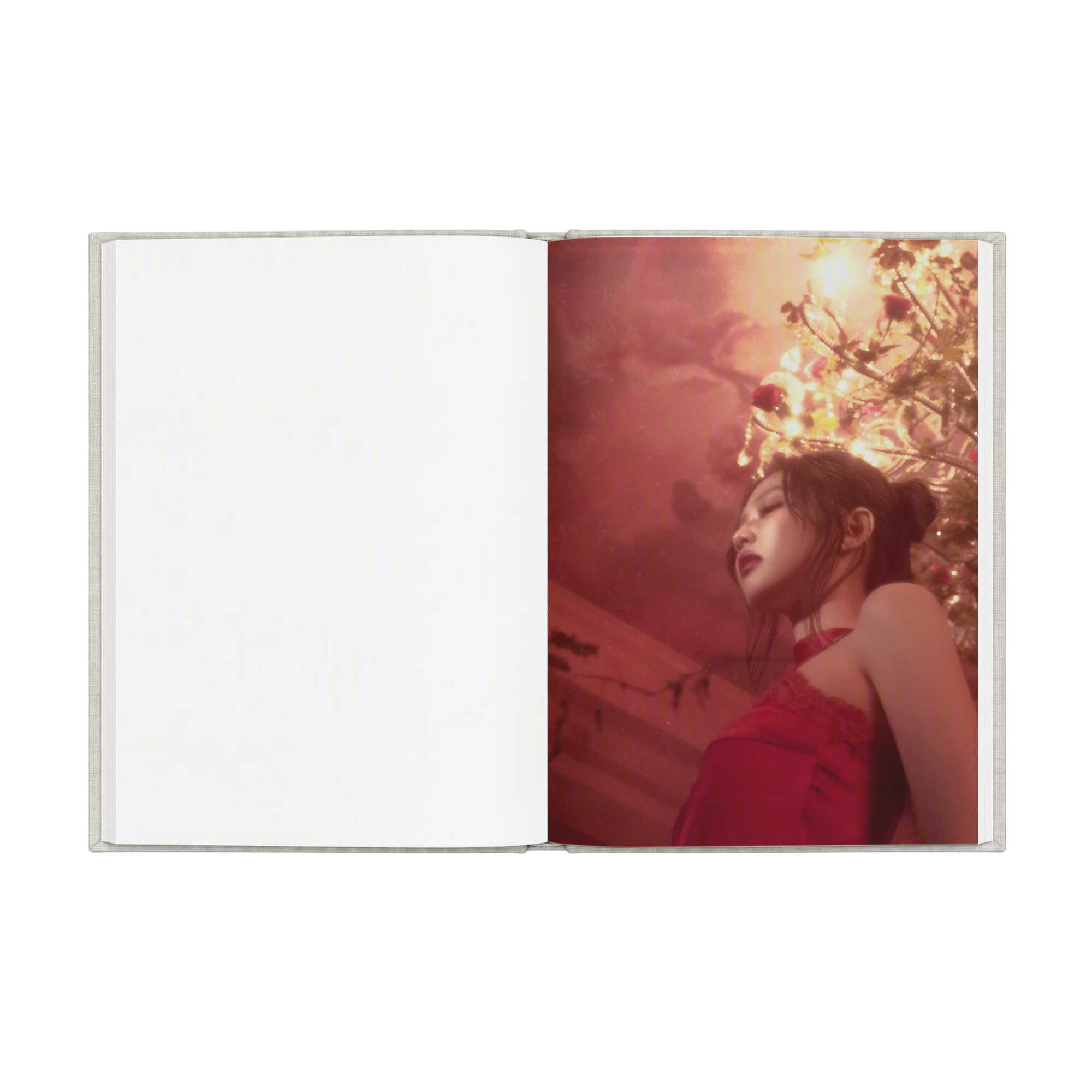 Fallen Angel Notebook