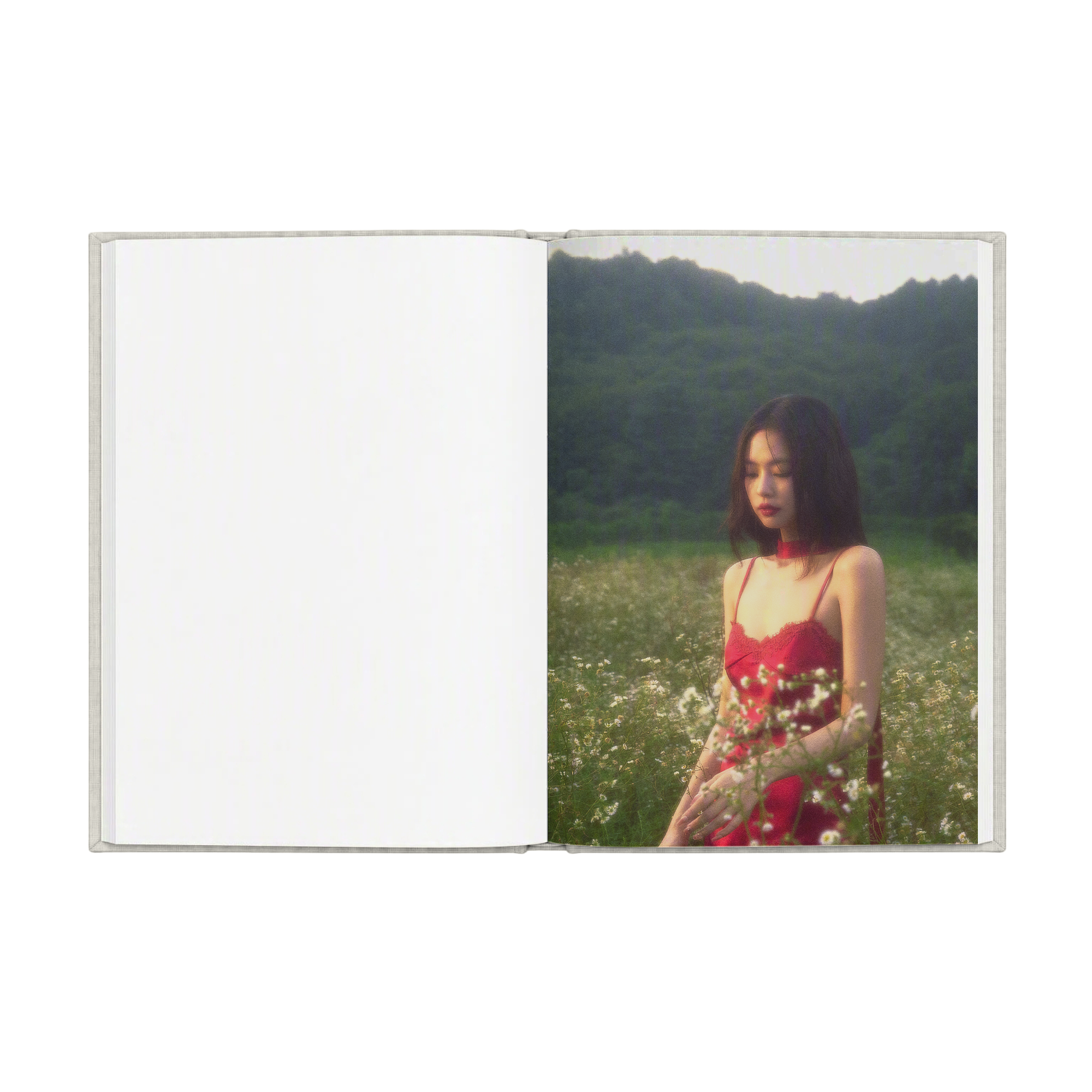 Fallen Angel Notebook