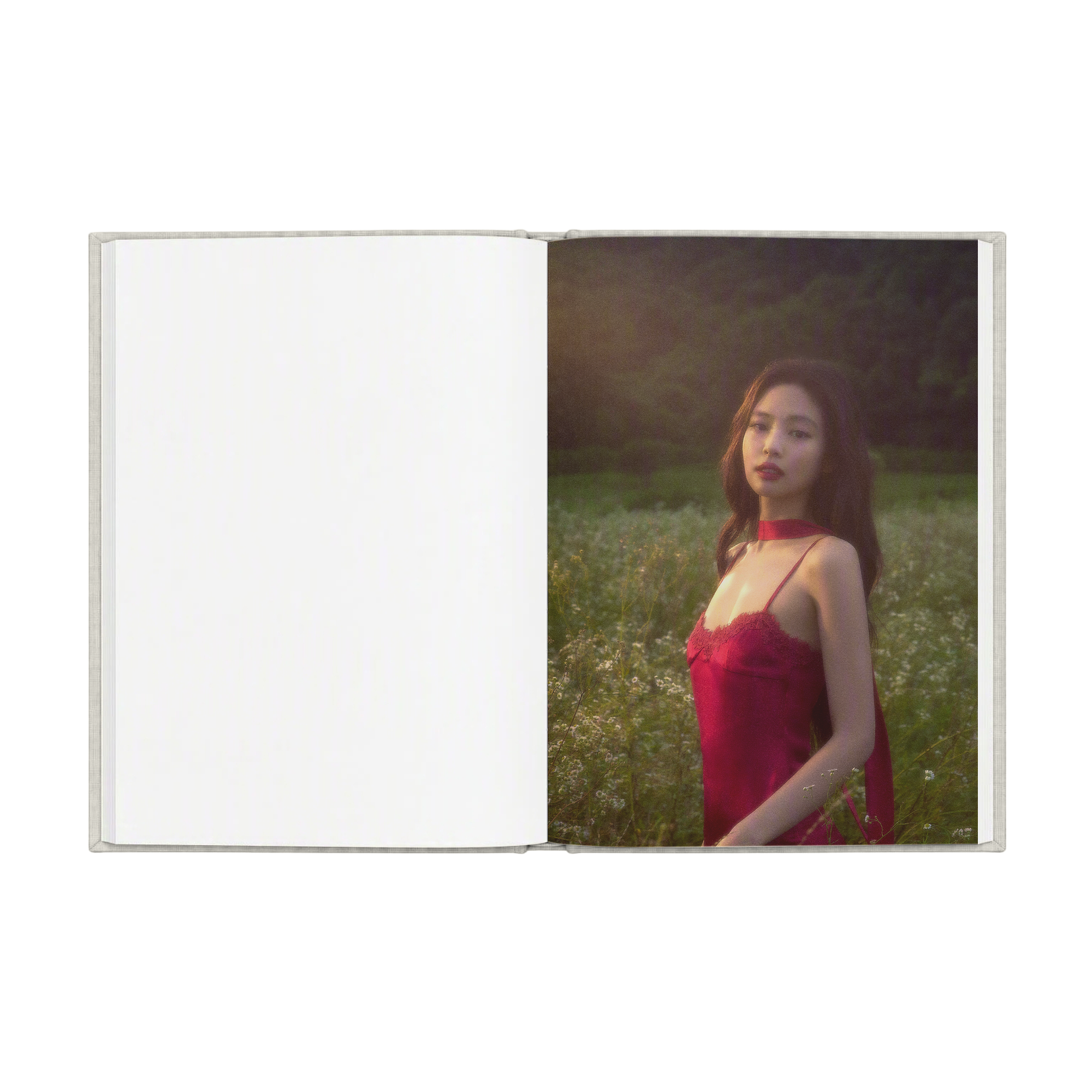 Fallen Angel Notebook